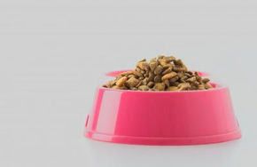 Фотографија за категорија Храна за Миленици