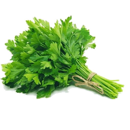 Picture of Parsley