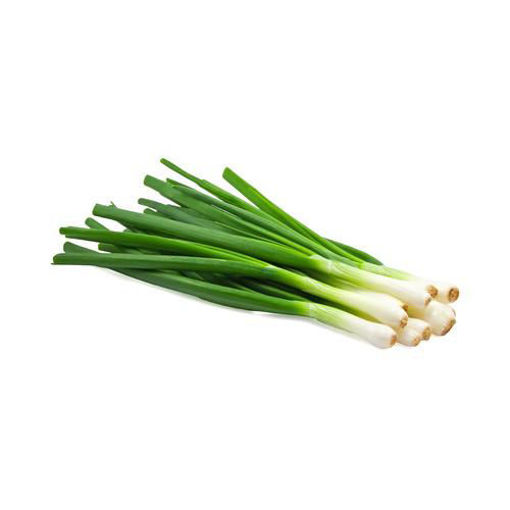 Picture of Scallion