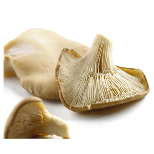 Picture of Mushroom Bukovka