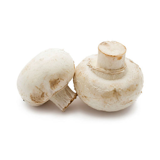 Picture of Mushrooms 